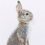 Hand embroidered one of a kind bunny rabbit close up