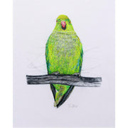 Pencil drawn and hand embroidered Parakeet artwork