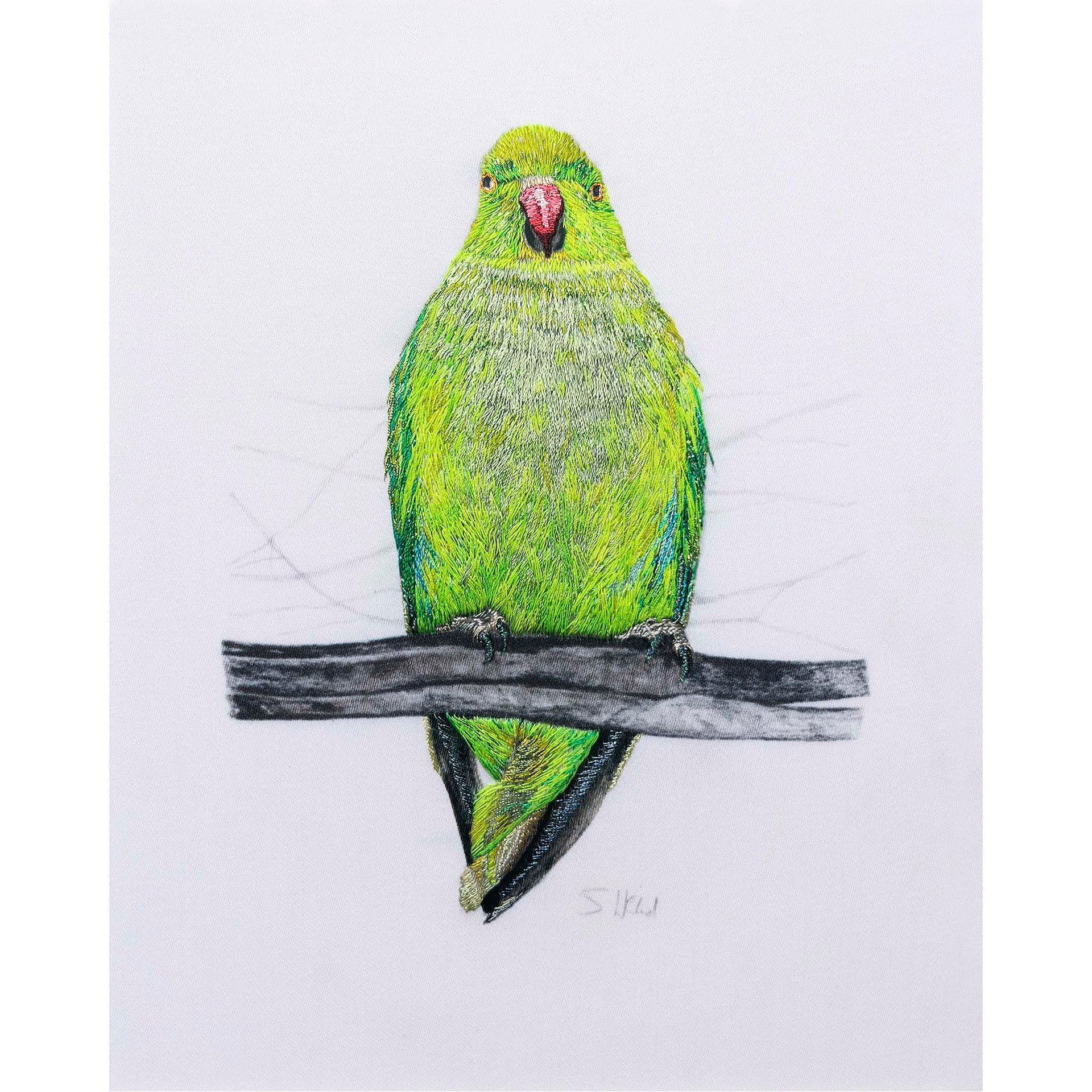 Pencil drawn and hand embroidered Parakeet artwork