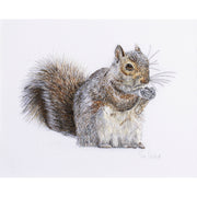 Hand embroidered squirrel