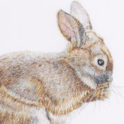 Hand embroidered bunny rabbit close up