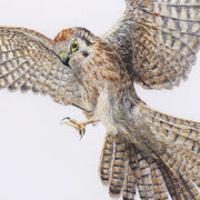 Hand embroidered original Kestrel artwork close up