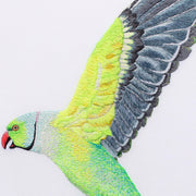 Flying parakeet hand embroidery original artwork close up