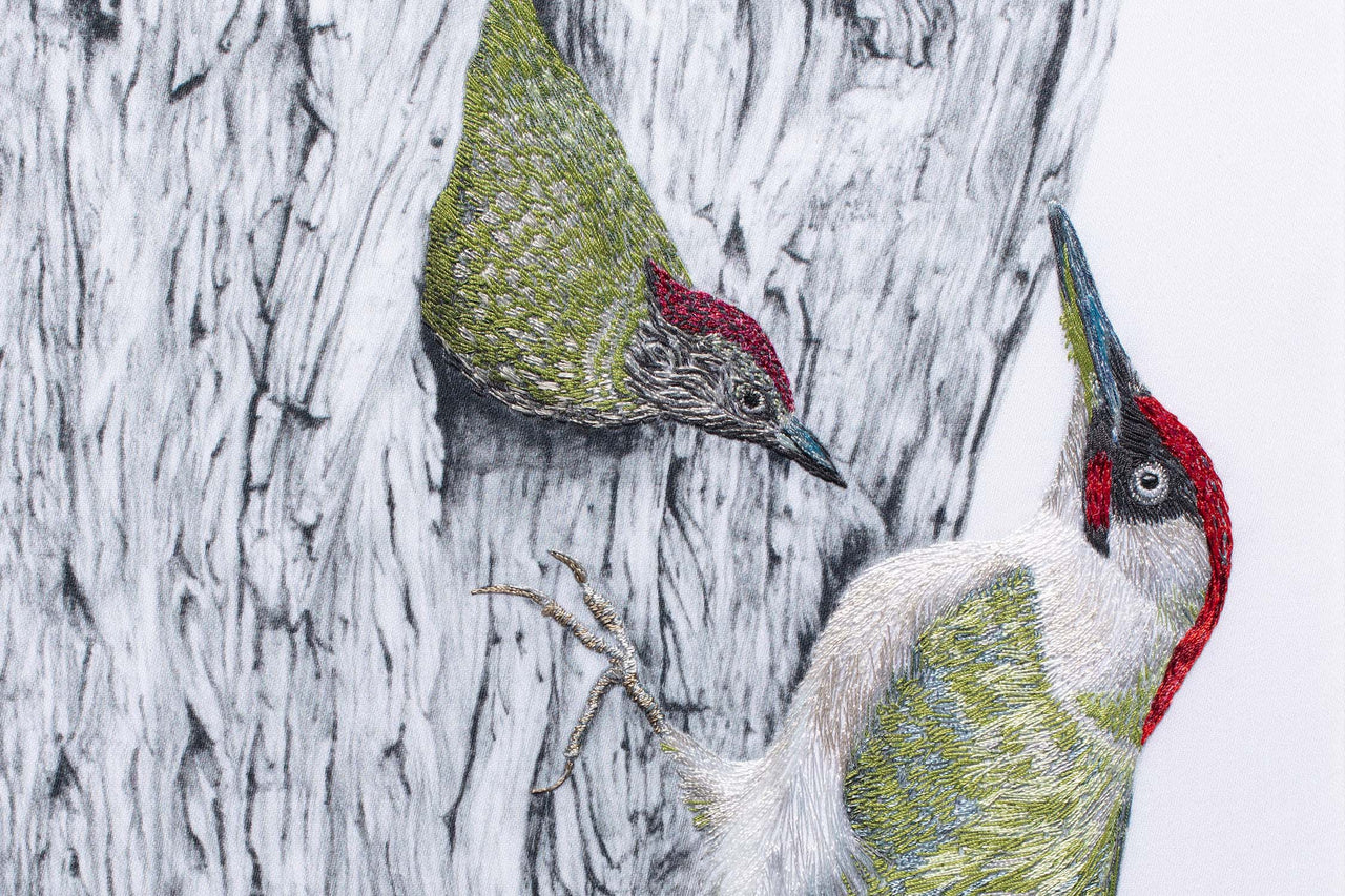 Woodpeckers pencil drawing with hand embroidery artwork