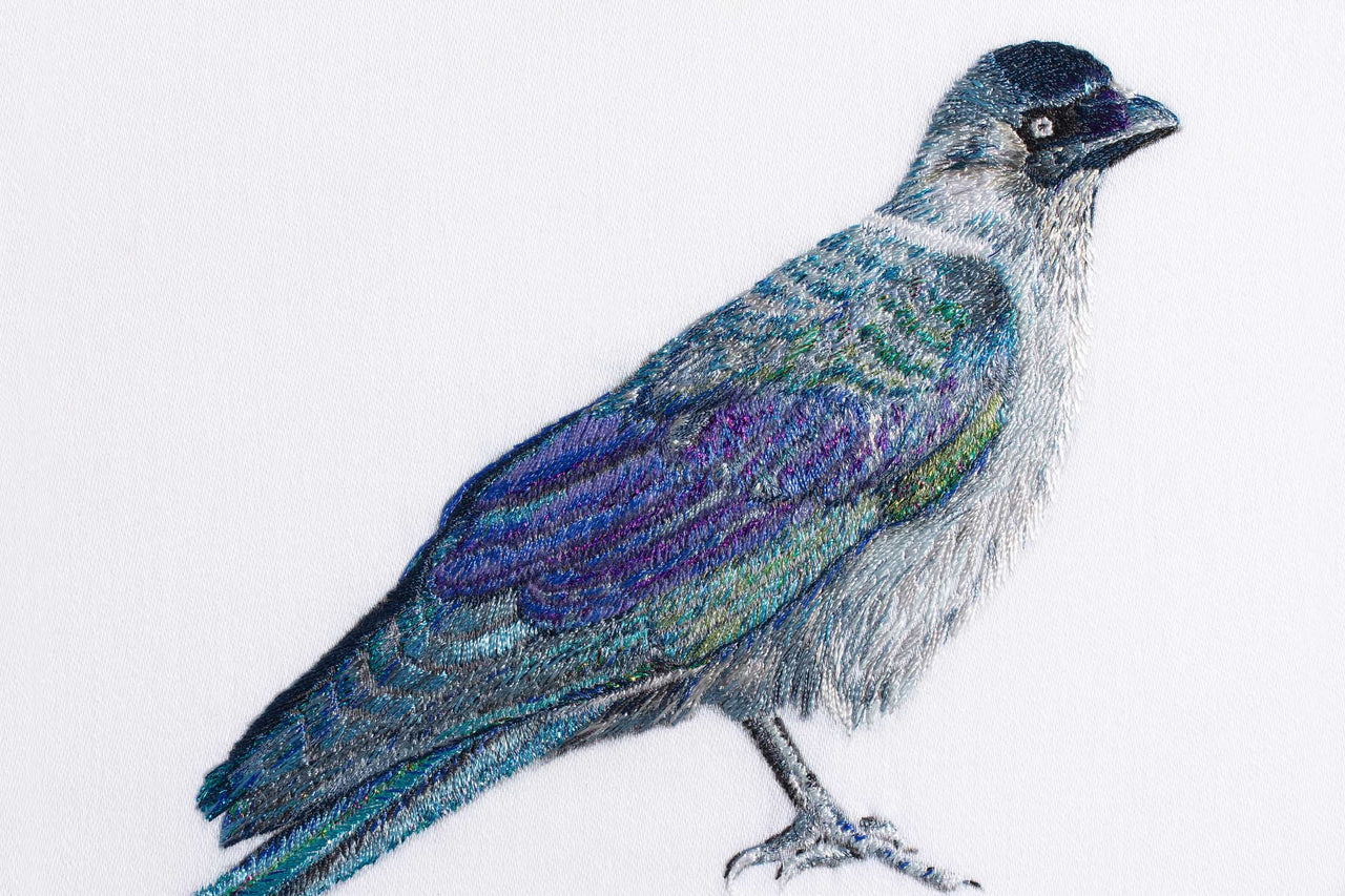 Jackdaw hand embroidered wall art.