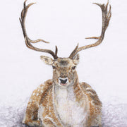 Hand embroidered siting deer limited edition print