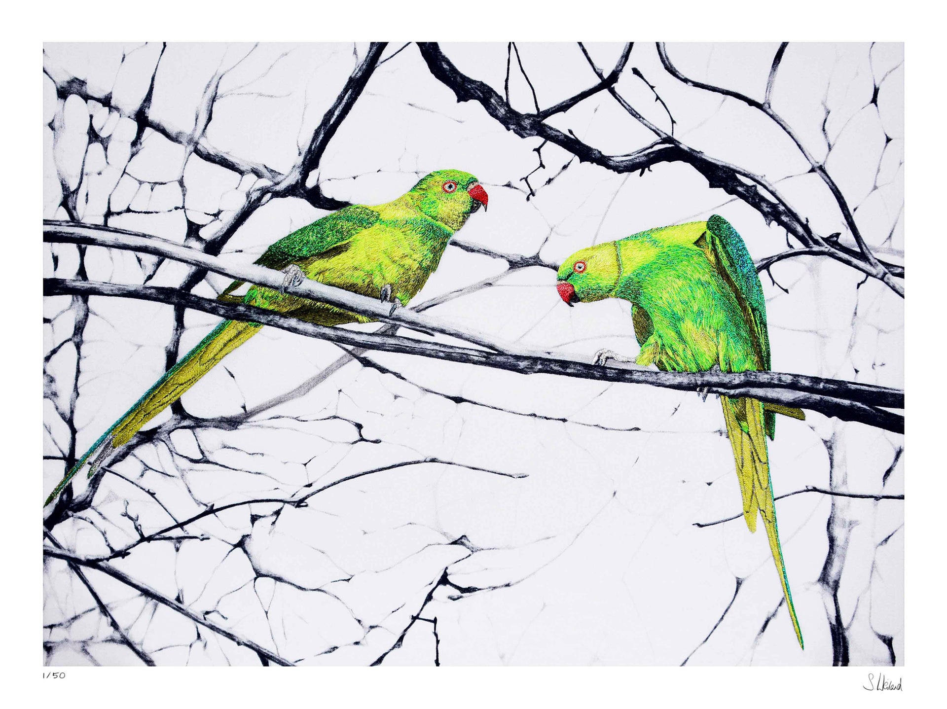 Hand embroidered hyde park parakeets limited edition print