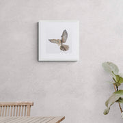 Limited Edition Print of Regent Kestrel hand embroidered artwork in white frame on the wall