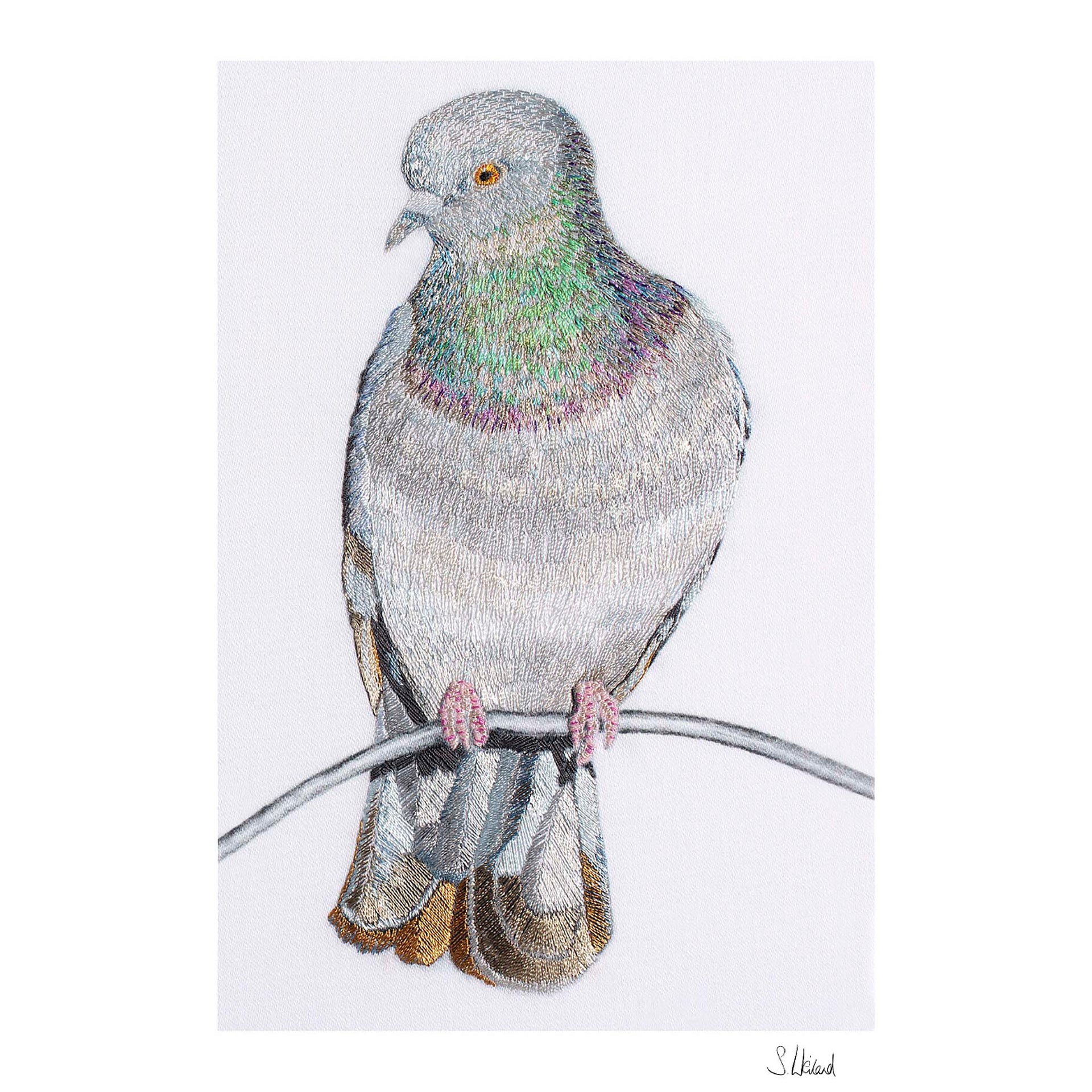 Pigeon print signed