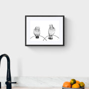 Pigeons pencil drawing print in black frame on the wall