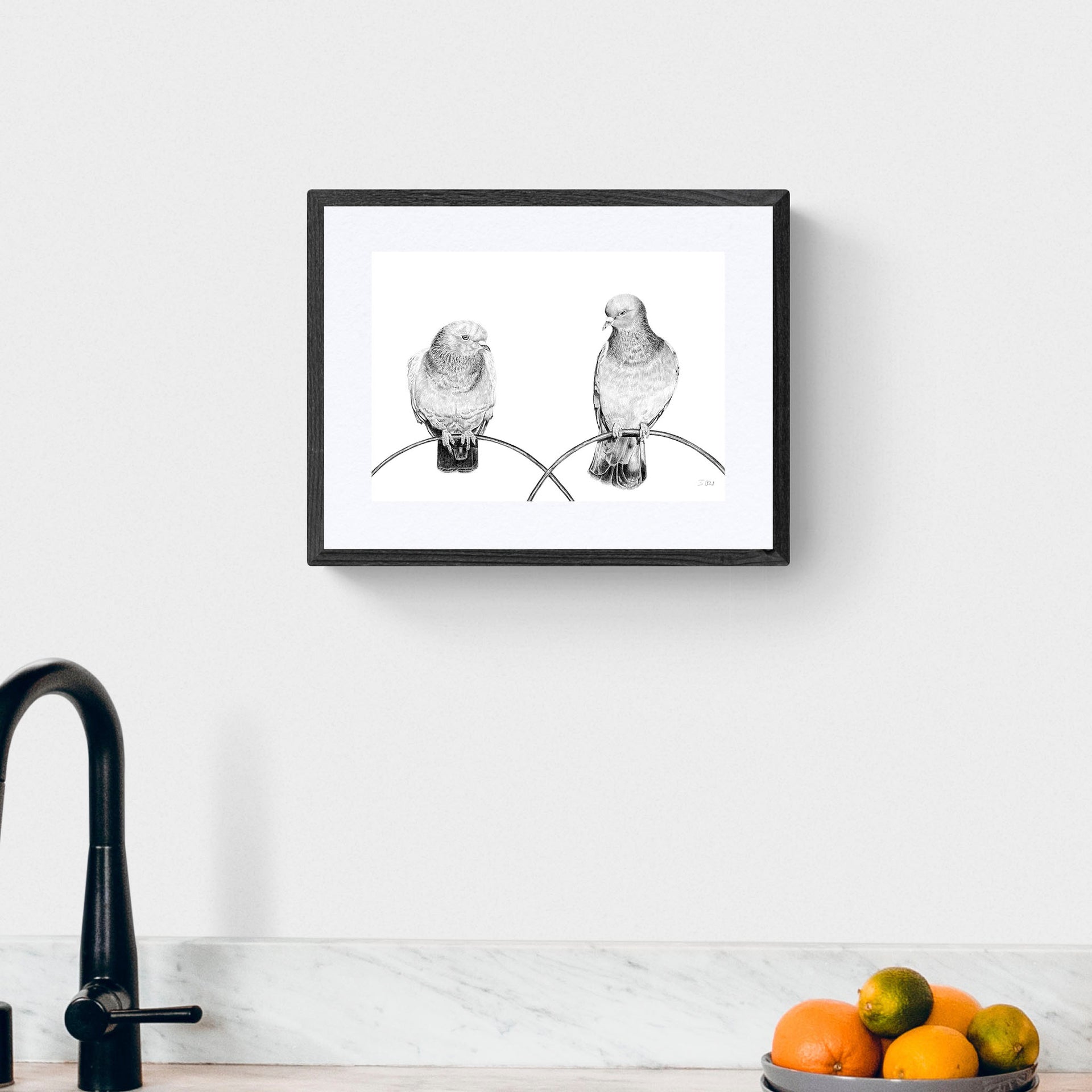 Pigeons pencil drawing print in black frame on the wall