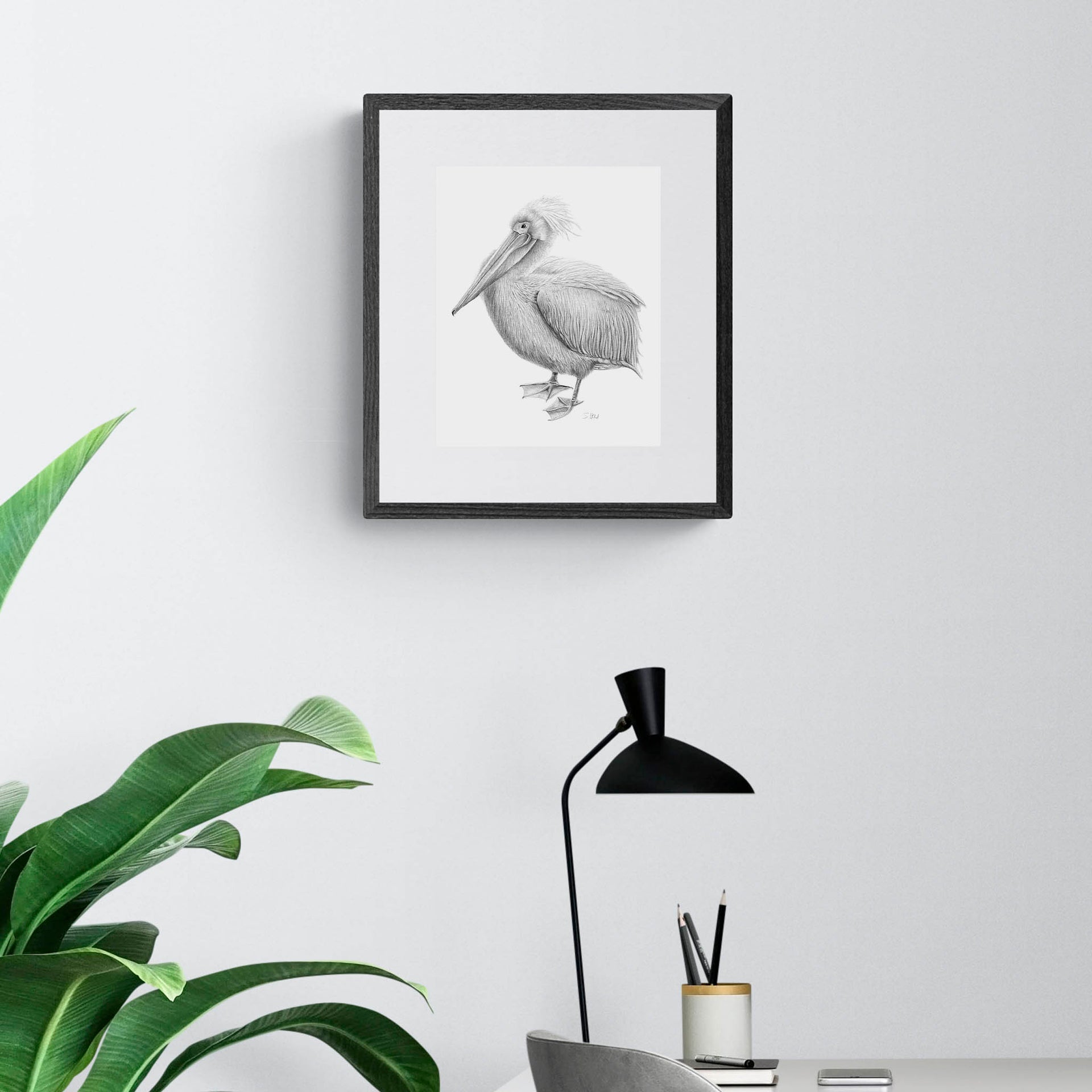 Pelican pencil drawing print in black frame on the wall