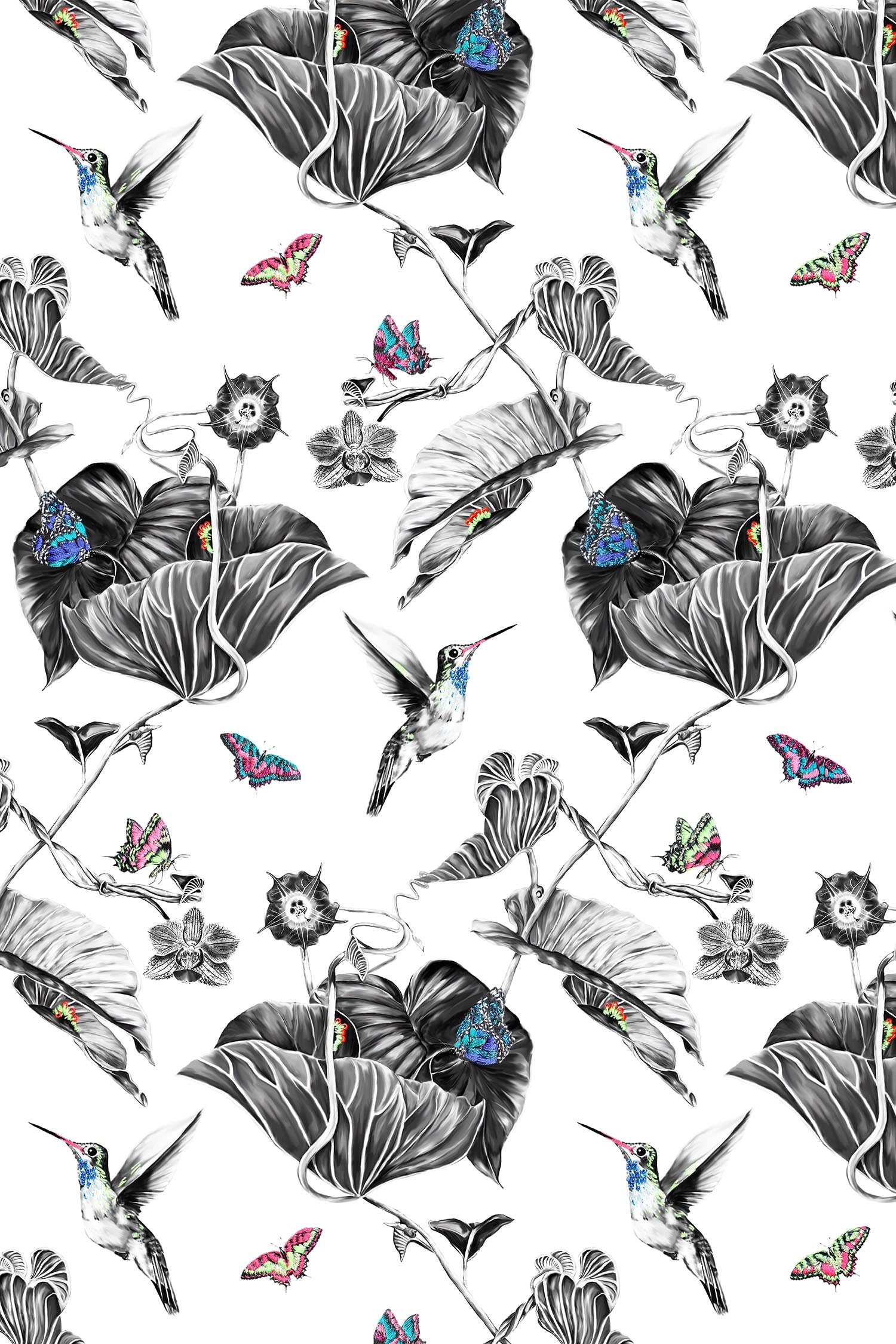 Multi hummingbird wallpaper.