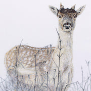 Deer hand embroidered limited edition print