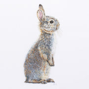 Bushy Bunny limited edition textile artwork by Susannah Weiland, a close-up showing a young rabbit standing upright, its fur rendered in exquisite detail in silk threads in grey, warm brown and gold with a delicate pink inner ear on a white ground, hand-signed by the artist.