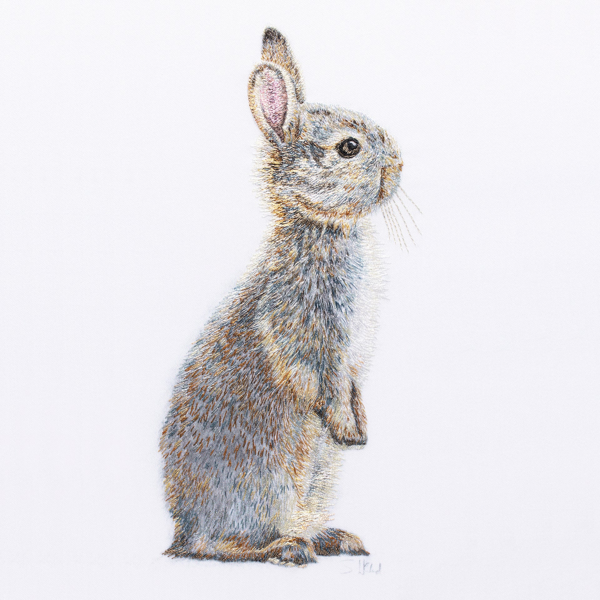 Bushy Bunny limited edition textile artwork by Susannah Weiland, a close-up showing a young rabbit standing upright, its fur rendered in exquisite detail in silk threads in grey, warm brown and gold with a delicate pink inner ear on a white ground, hand-signed by the artist.