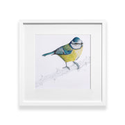 Hand embroidered Blue tit original artwork in white frame