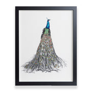Hand embroidered peacock artwork in black frame