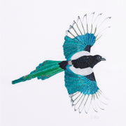 Bushy Magpie limited edition embroidery art print by Susannah Weiland, a close-up showing a magpie with wings fully outstretched, rendered entirely in silk threads in vivid teal, blue and green with black and white, capturing the iridescent beauty of the bird's plumage in flight on a white ground, hand-signed by the artist.