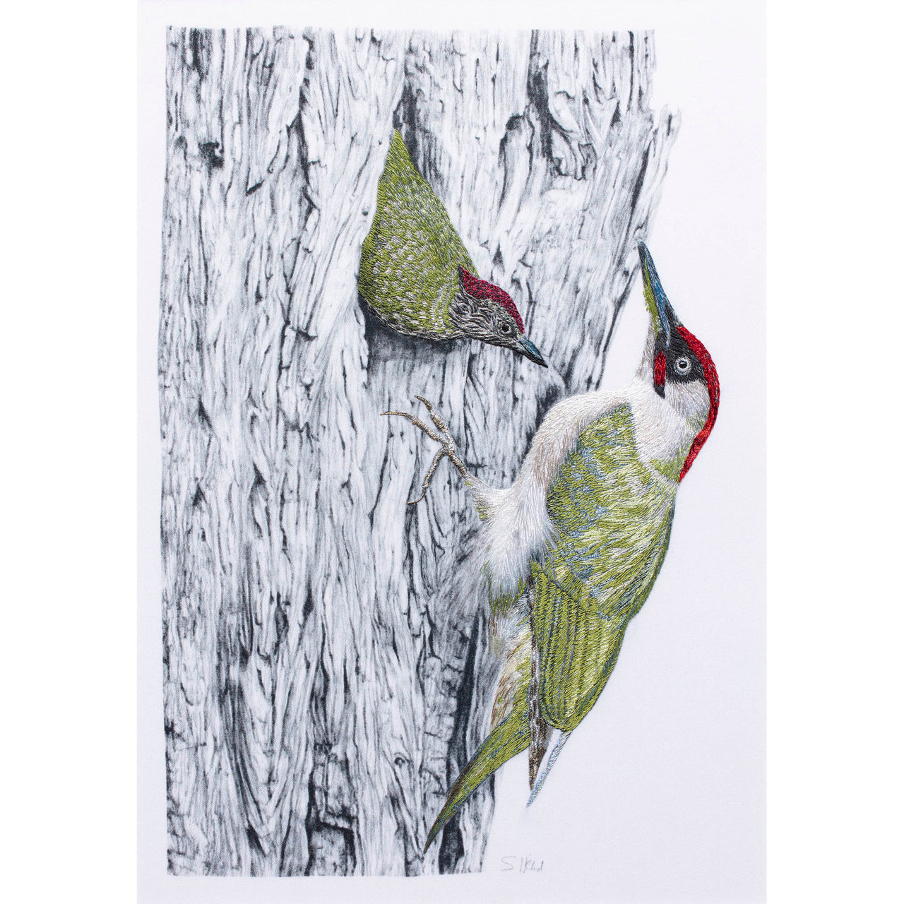 Pencil drawing with hand embroidery Woodpecker artwork