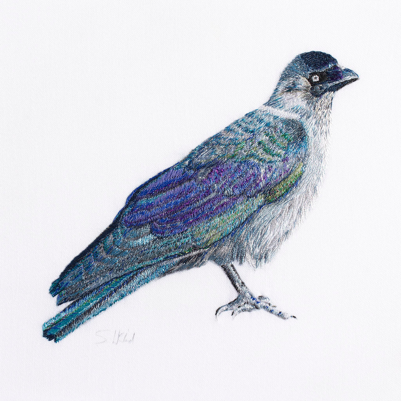 Greenwich Jackdaw luxury embroidered artwork print by Susannah Weiland, depicting a jackdaw in iridescent blues, purples and greens against a white background.