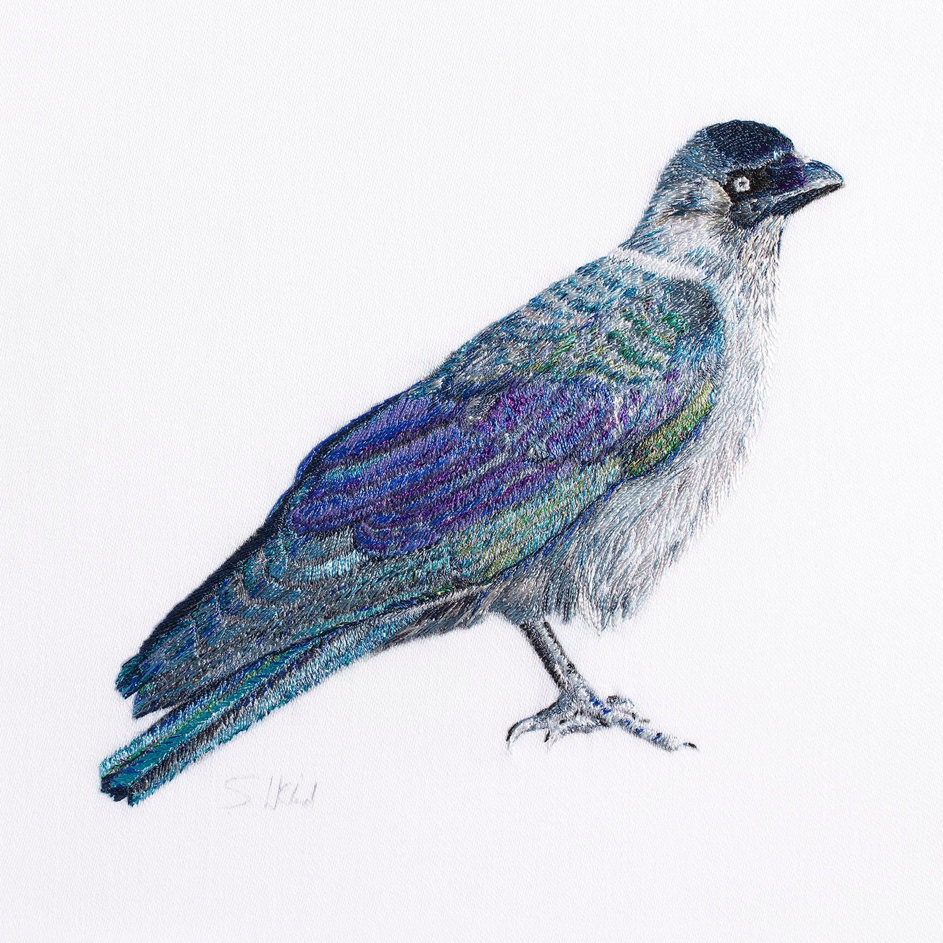Greenwich Jackdaw luxury embroidered artwork print by Susannah Weiland, depicting a jackdaw in iridescent blues, purples and greens against a white background.