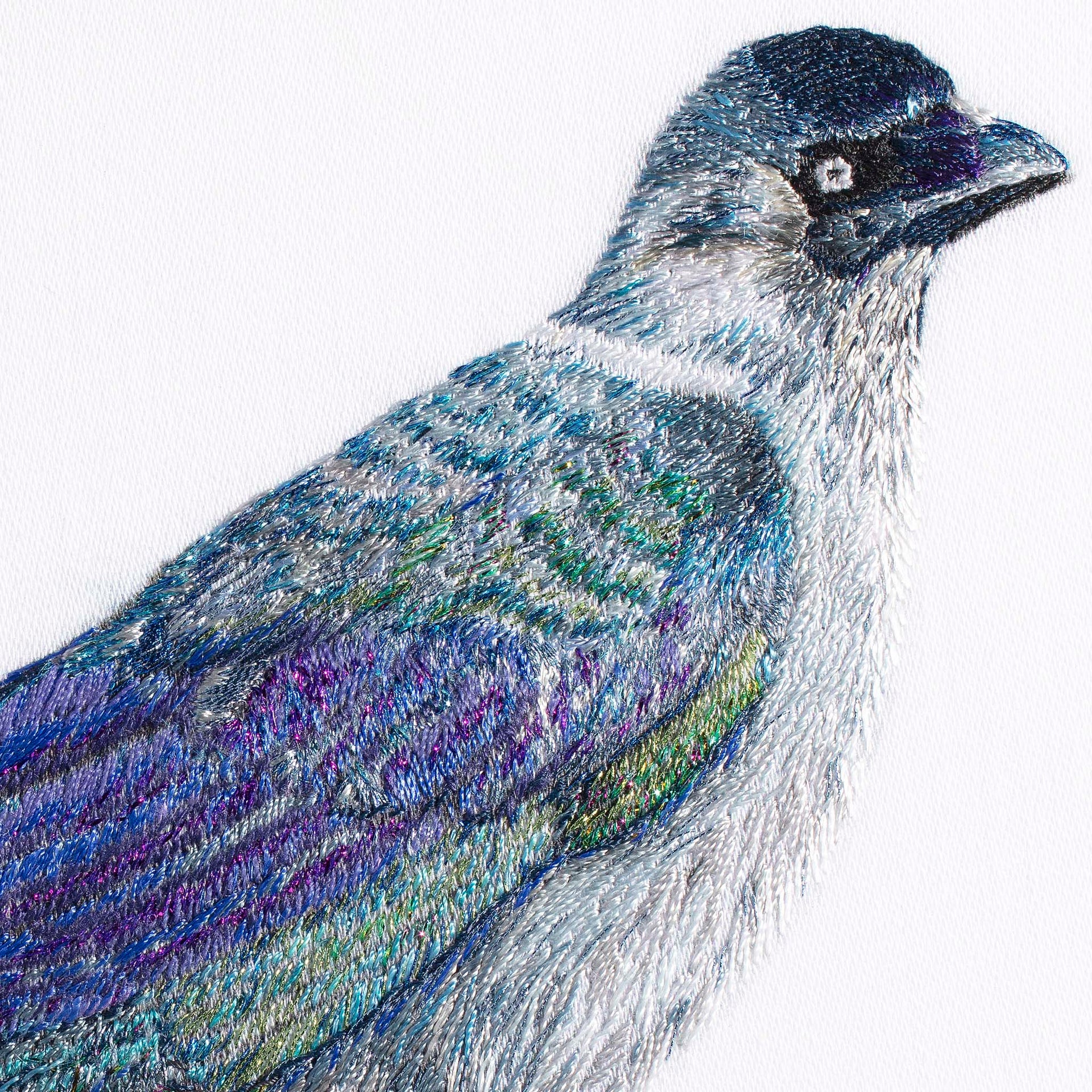 Jackdaw hand embroidered wall art close up.