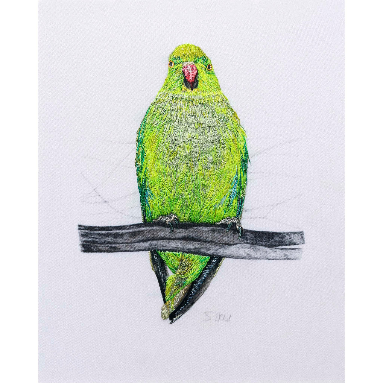 Pencil drawn and hand embroidered Parakeet artwork 