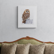 Greenwich Owl limited edition embroidery art print by Susannah Weiland, shown with a white mount hung on a grey wall above an ornate green velvet sofa, demonstrating the print's versatility across both classic and contemporary interiors.