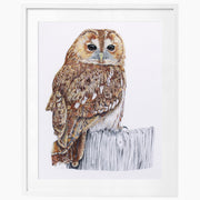 Greenwich Owl limited edition embroidery art print by Susannah Weiland, edition of 50, capturing the silk thread detail and matt gold sequins of the original embroidery, shown with a white mount and white frame.