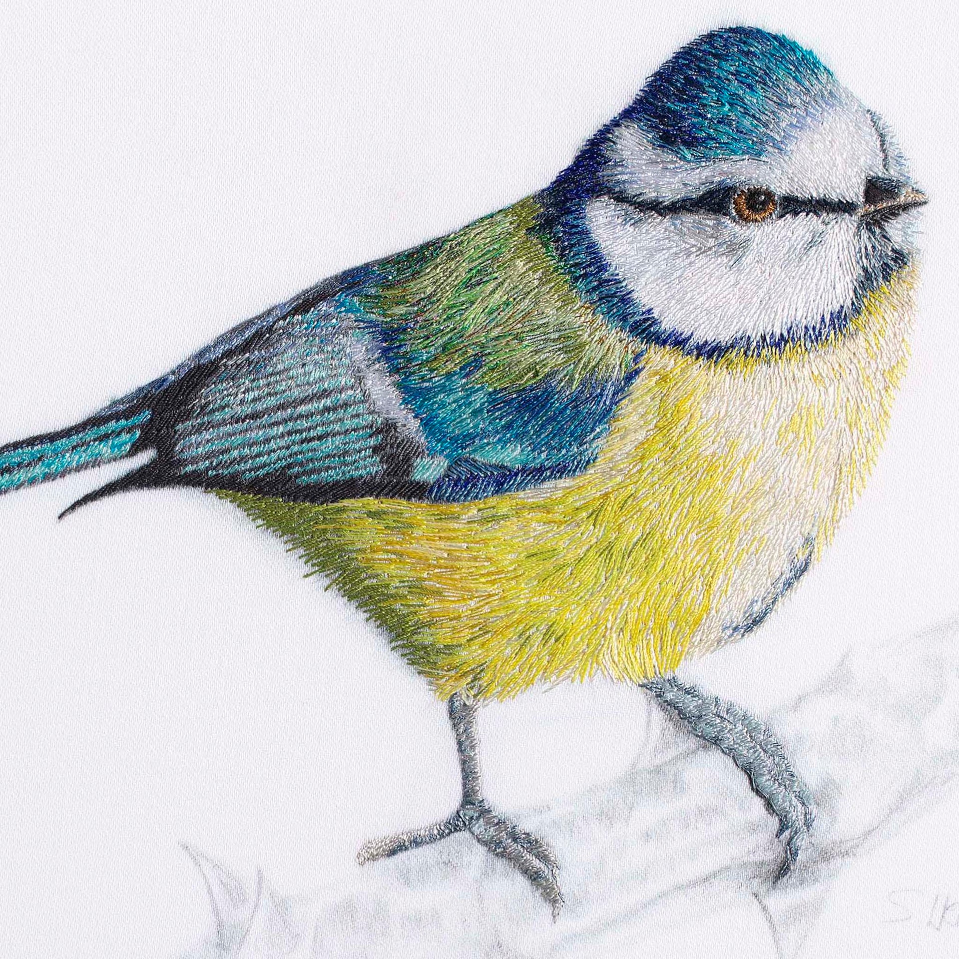 Blue tit hand embroidered wall art close up.