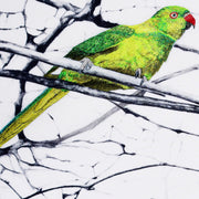 Hand embroidered Parakeets artwork close up