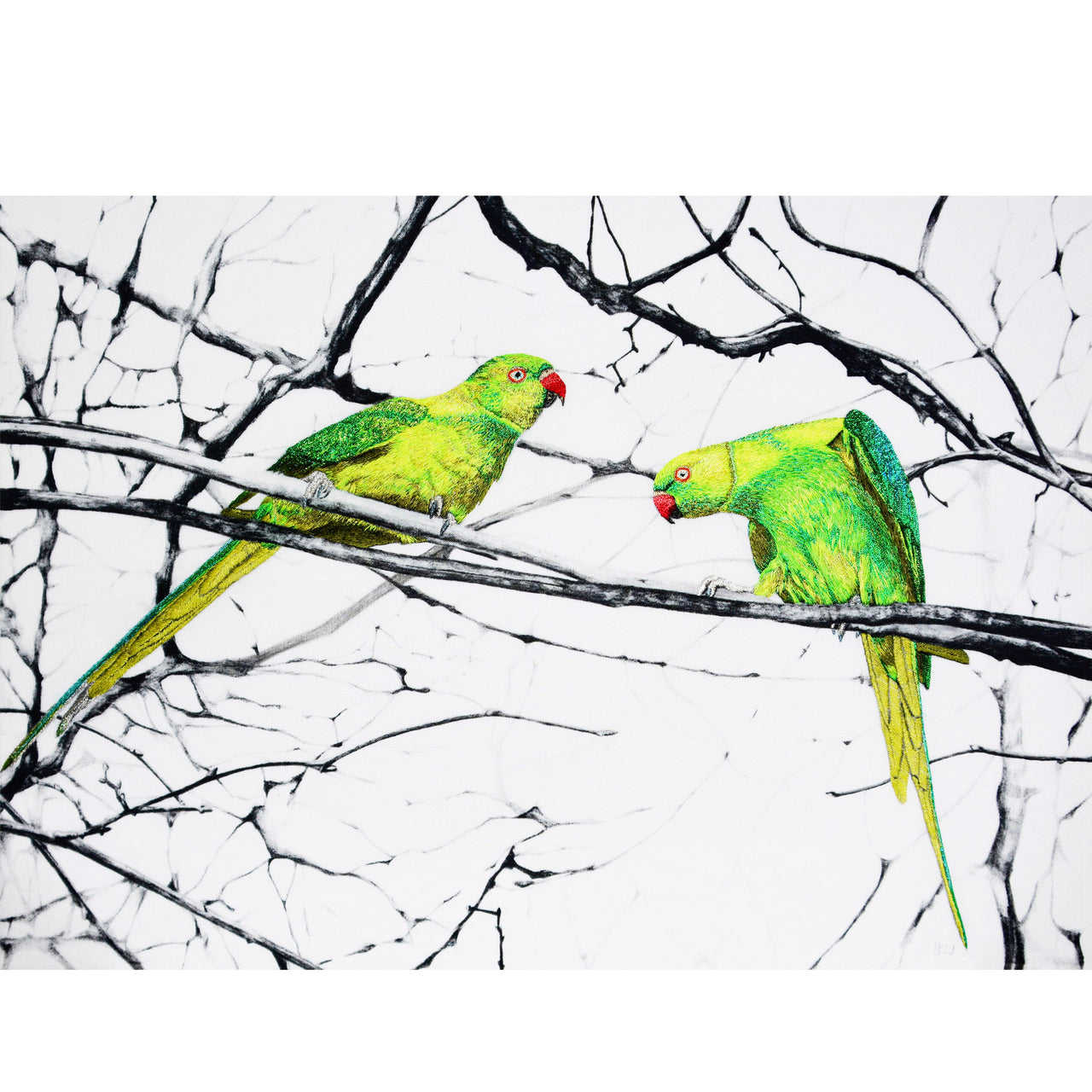 Hyde park parakeets hand embroidered artwork 