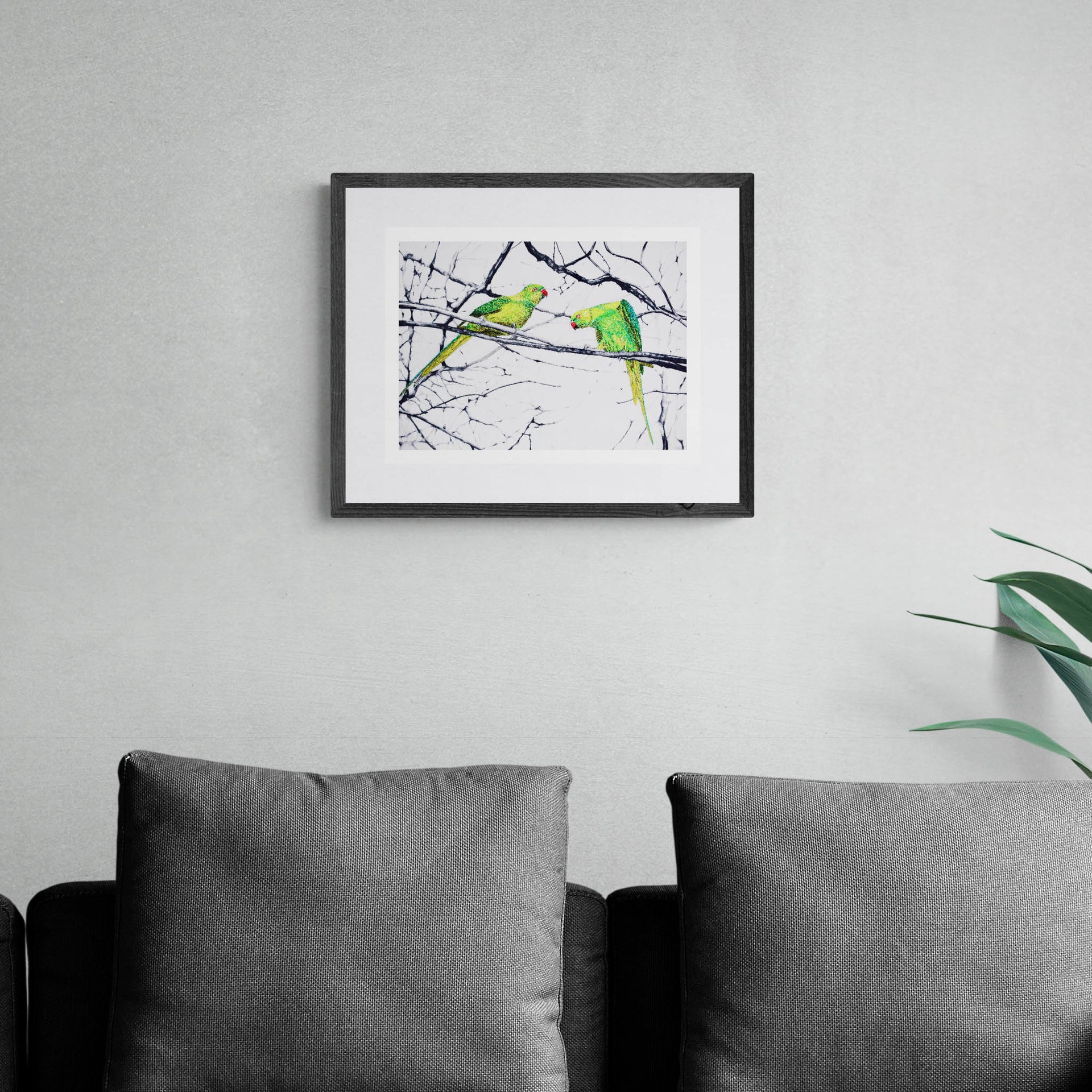 Hyde Park Parakeets limited edition embroidery art print by Susannah Weiland, shown in a dark frame with white mount above a charcoal sofa, the vivid greens of the parakeets striking against a grey interior palette.