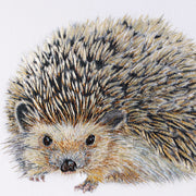 Close-up detail of Regent Hedgehog showing the hand embroidery. Individual stitches in amber, gold, cream and black thread radiate outward across the spines, with metallic threads catching the light. The face is worked in warm golden brown with a dark embroidered nose and bright eyes, the fine stitching around the muzzle capturing the soft fur beneath the spines.