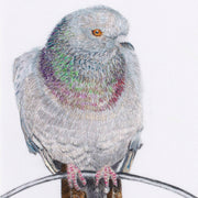 Pigeon hand embroidered limited edition print