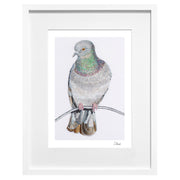 Limited edition print of hand embroidered pigeon in frame