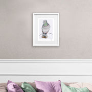 Pigeon limited edition print on the wall