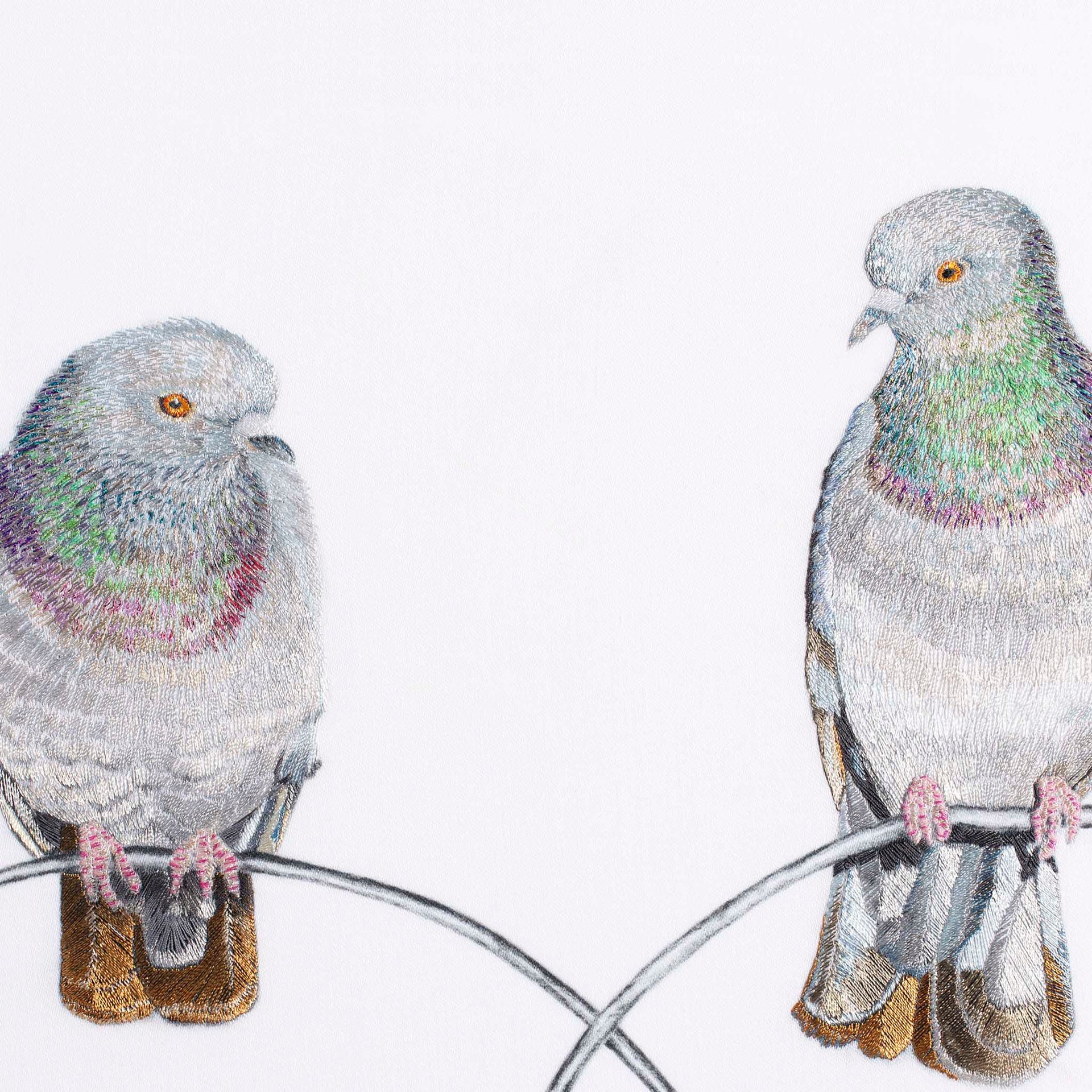 Regent Pigeons Limited Edition Wildlife Art Embroidery Print by Susannah Weiland — close-up detail showing the iridescent purple, pink and green thread work of the birds' neck plumage.
