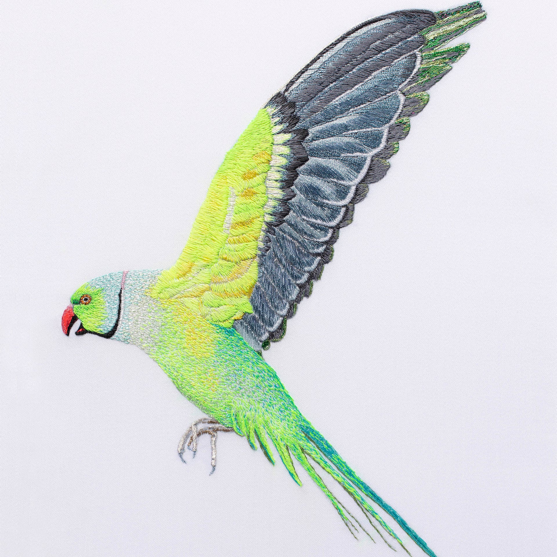 Parakeet hand embroidered artwork.