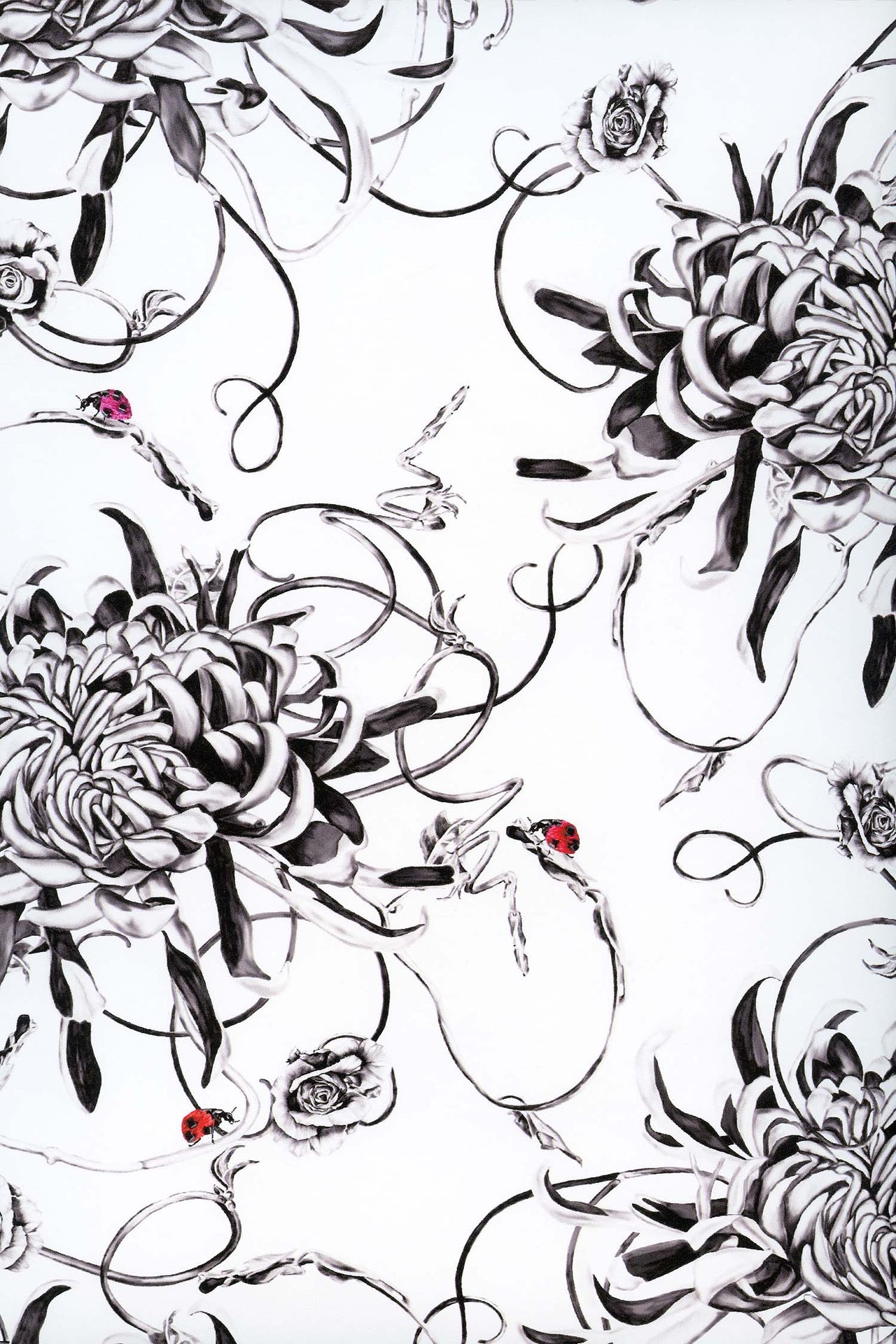 Entangled Chrysanthemums Wallpaper - White