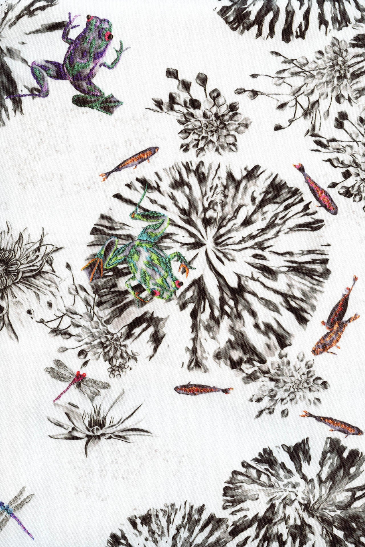 Frogs on a Lily Pad Fabric - Multi
