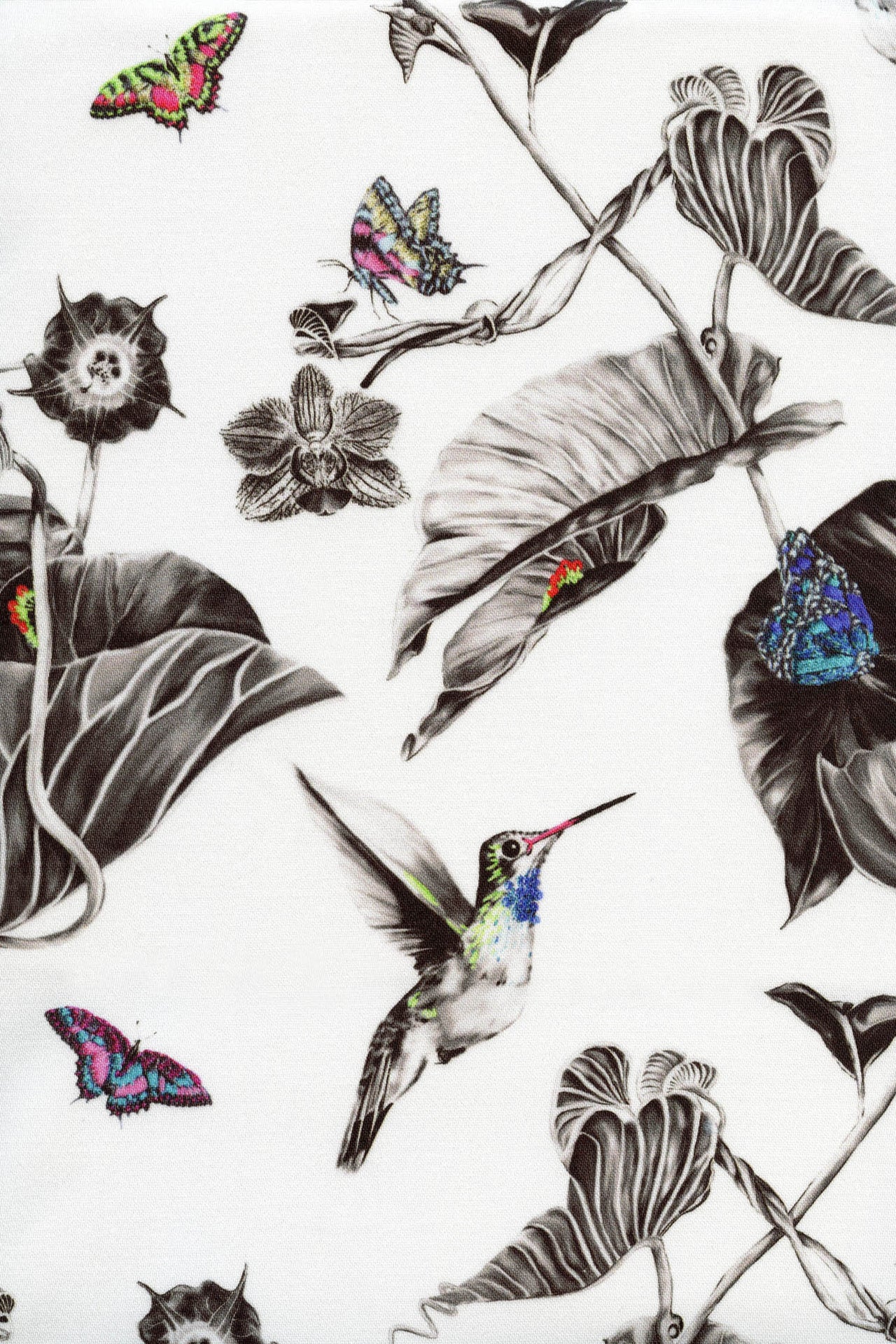 Hummingbirds Fabric - Multi