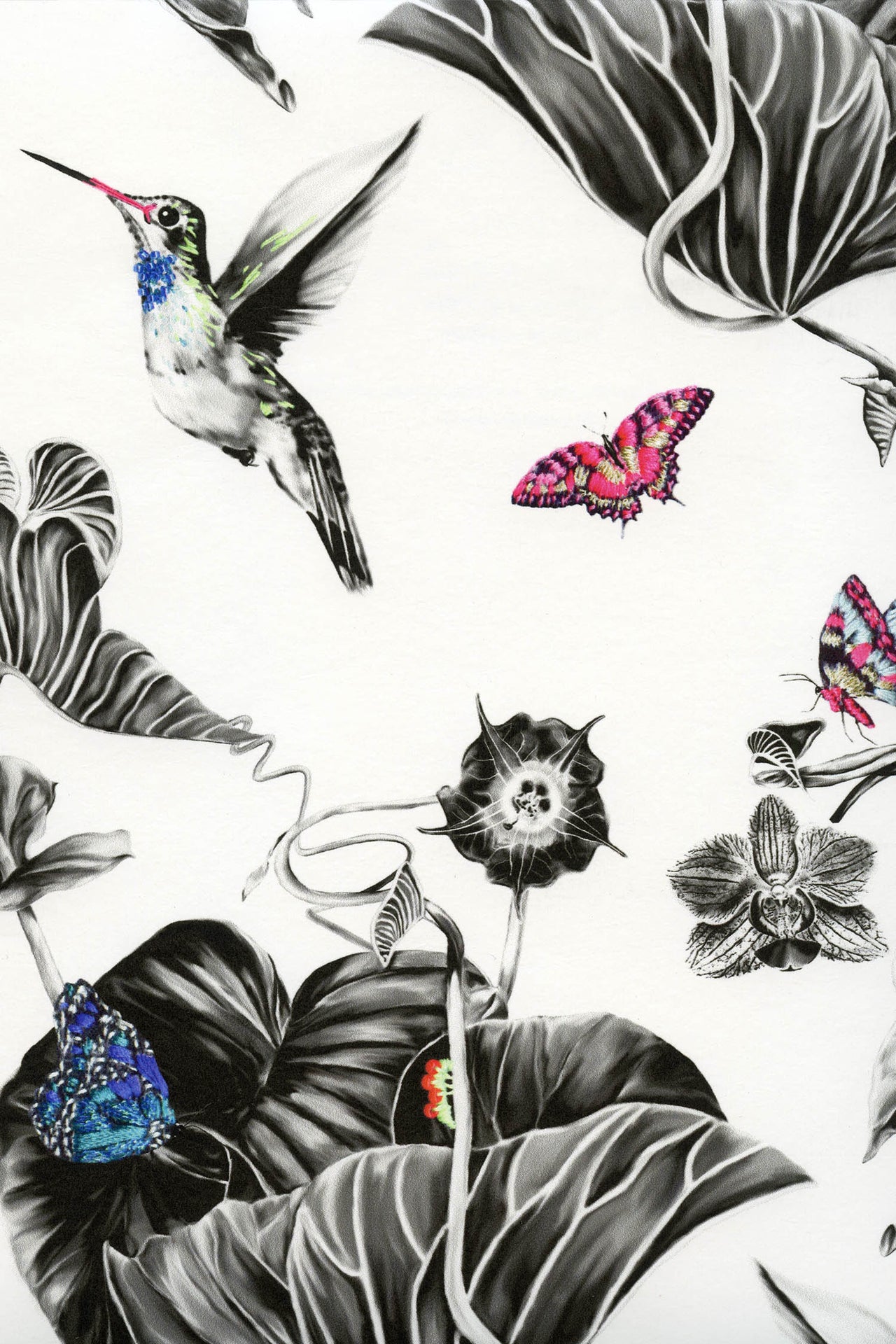Hummingbirds Wallpaper - Multi