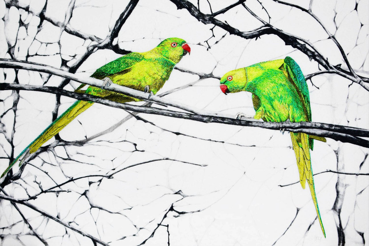 Hyde Parakeets artwork which combines pencil drawing and hand embroidery.