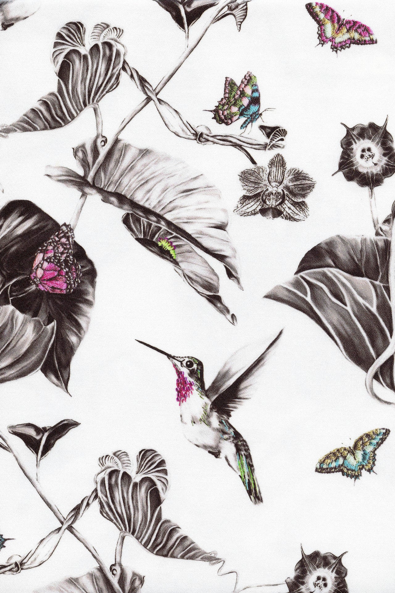 Pink Hummingbird Fabric