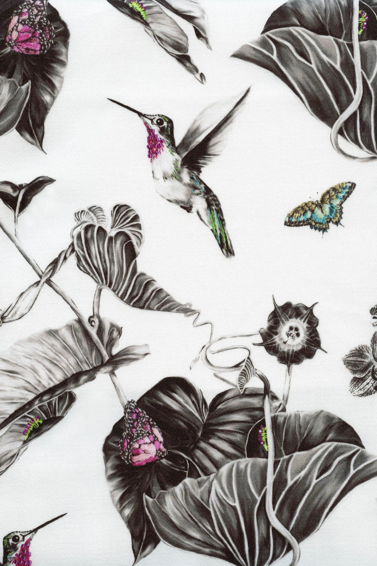 Hummingbirds Fabric - Pink