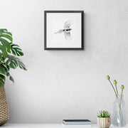Magpie pencil drawing print on wall