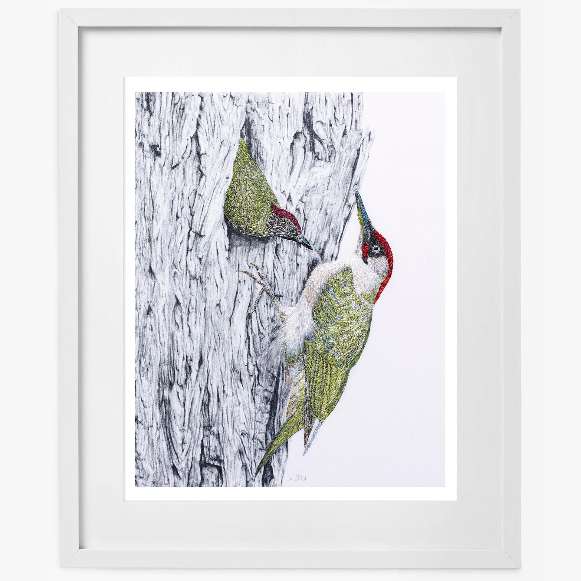 Woodpeckers hand embroidered limited edition print in white frame