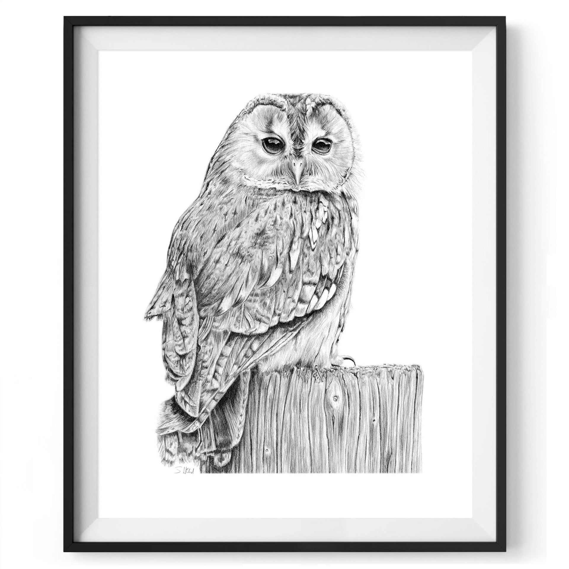 Owl pencil drawing print in frame